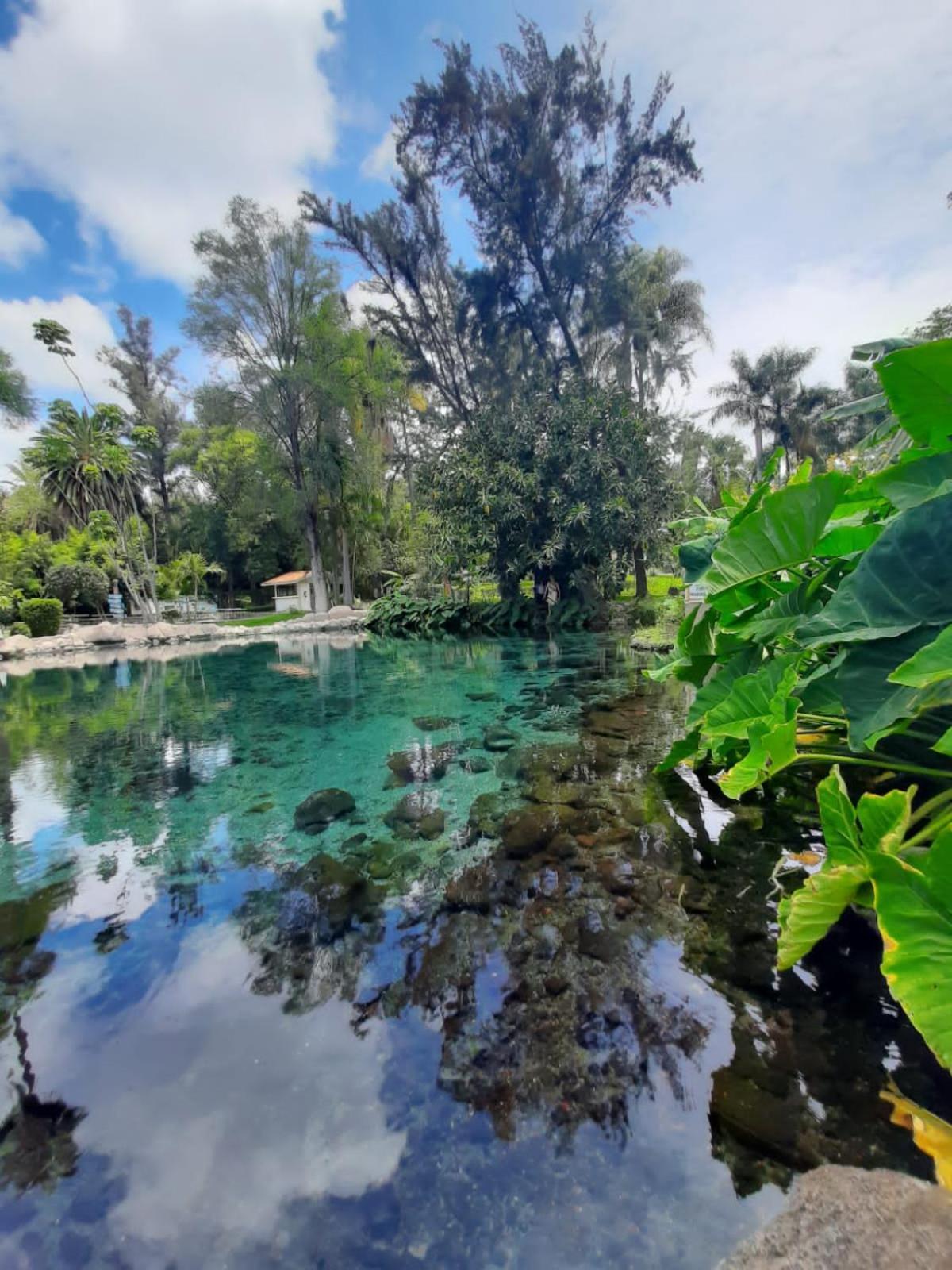 Posada Los Colorines Otel Zinapécuaro de Figueroa Dış mekan fotoğraf